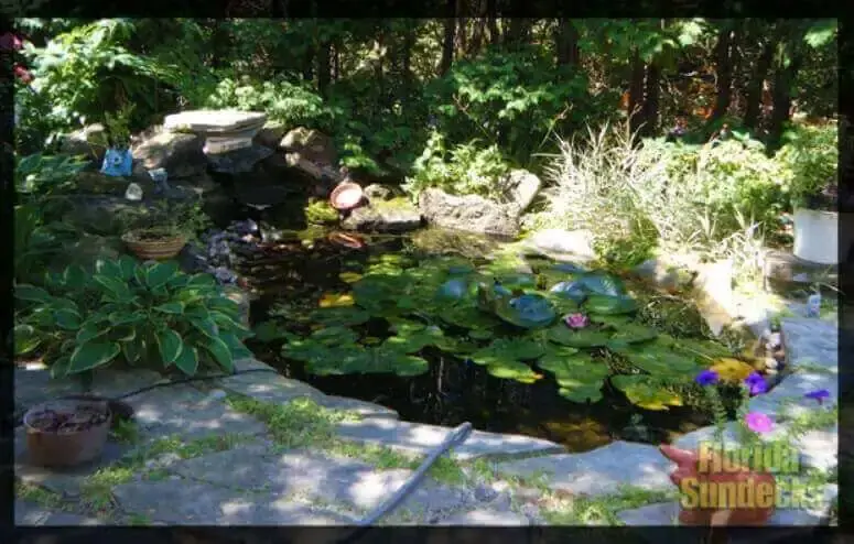 Backyard Pond and Waterfall we build in St Lazare fountain in St-Lazare